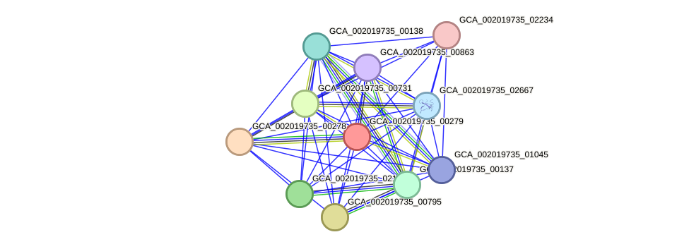 STRING protein interaction network