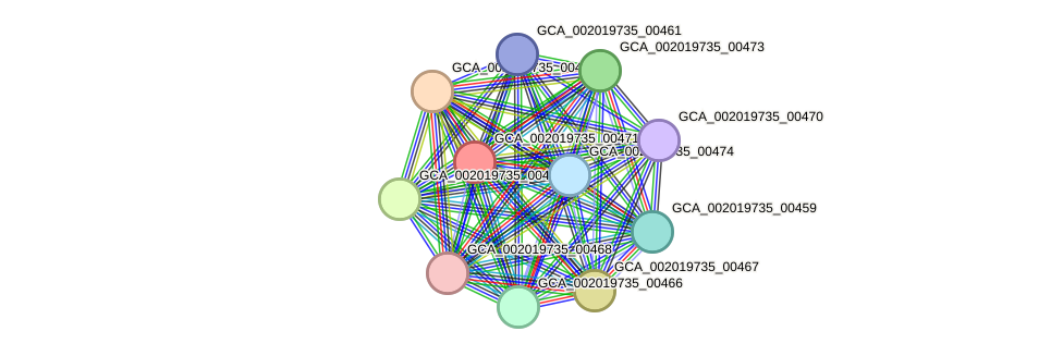 STRING protein interaction network