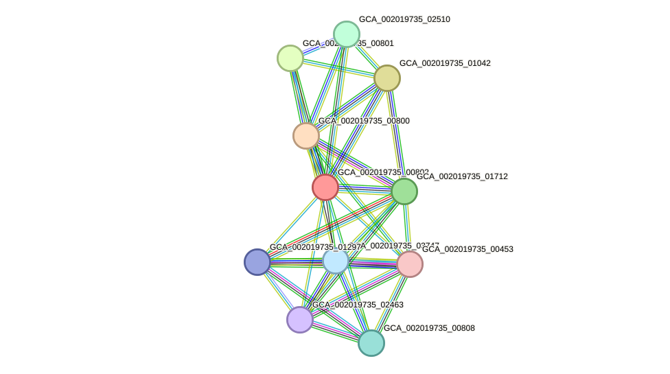 STRING protein interaction network