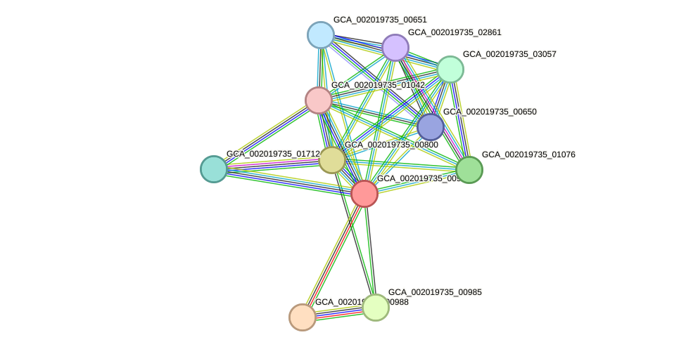 STRING protein interaction network