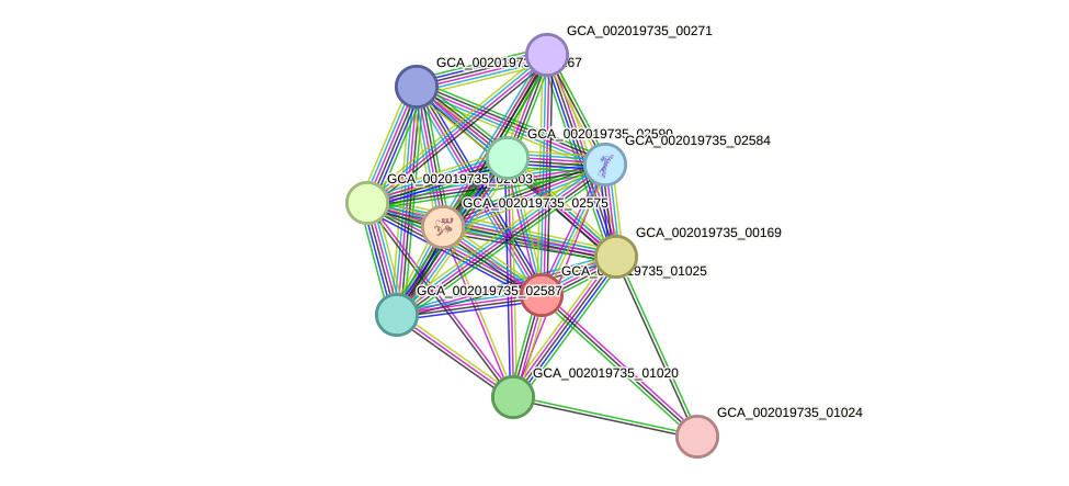 STRING protein interaction network