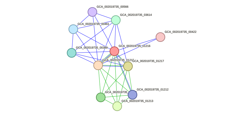 STRING protein interaction network