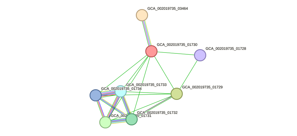 STRING protein interaction network