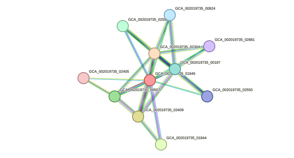 STRING protein interaction network