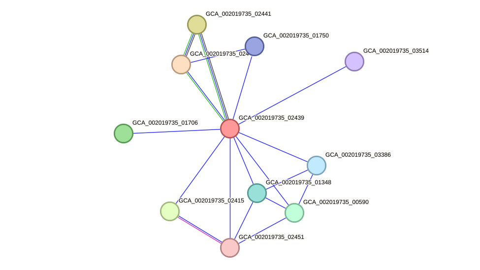 STRING protein interaction network