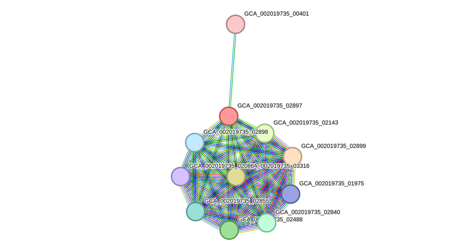 STRING protein interaction network