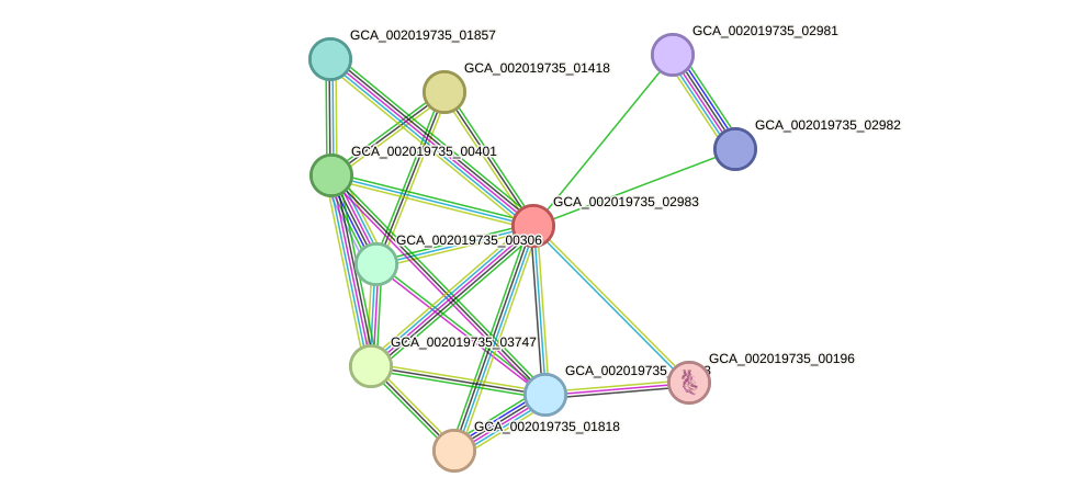 STRING protein interaction network