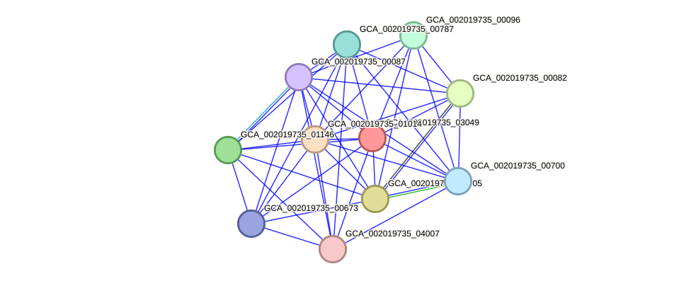 STRING protein interaction network