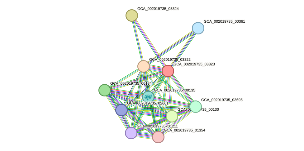 STRING protein interaction network