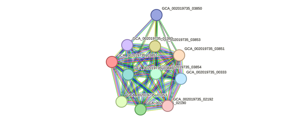 STRING protein interaction network