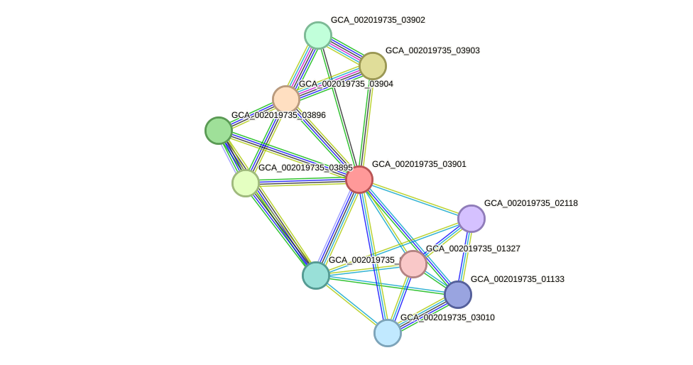 STRING protein interaction network