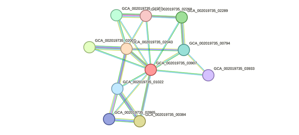 STRING protein interaction network