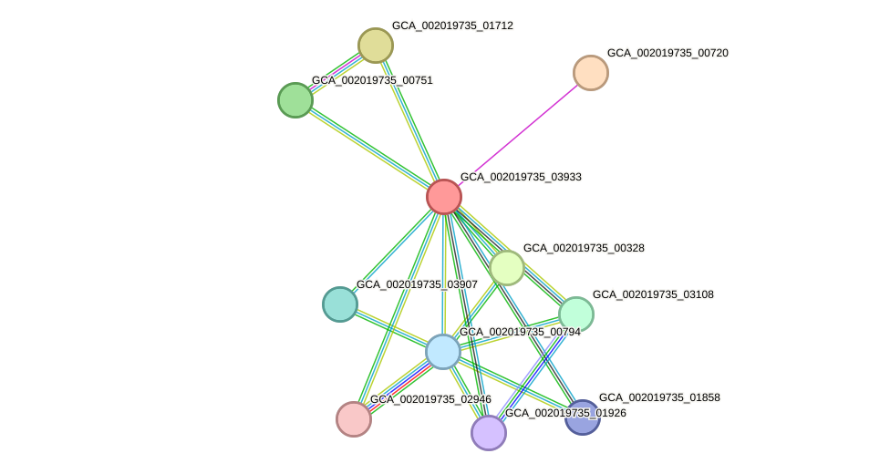 STRING protein interaction network