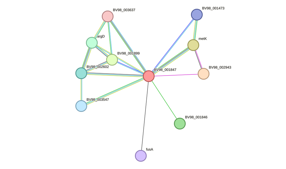 STRING protein interaction network