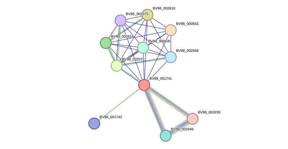 STRING protein interaction network