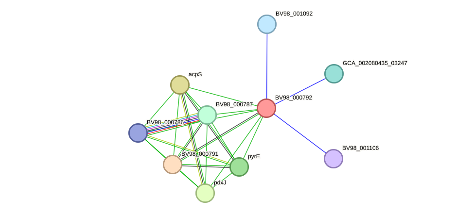 STRING protein interaction network