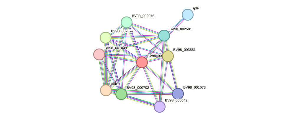 STRING protein interaction network