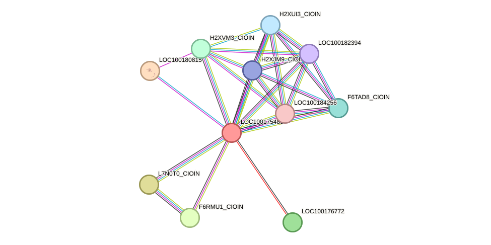 STRING protein interaction network