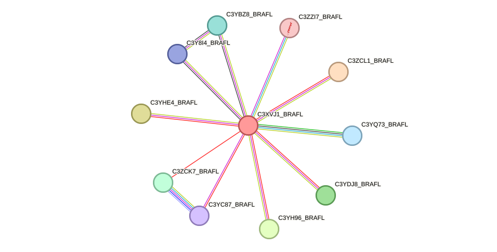 STRING protein interaction network