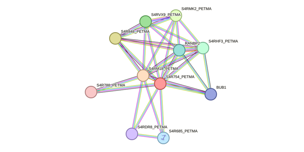 STRING protein interaction network