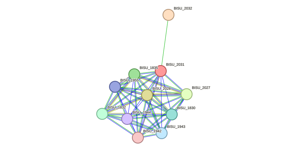 STRING protein interaction network