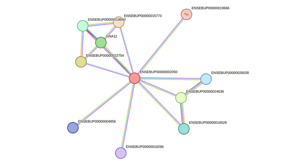 STRING protein interaction network