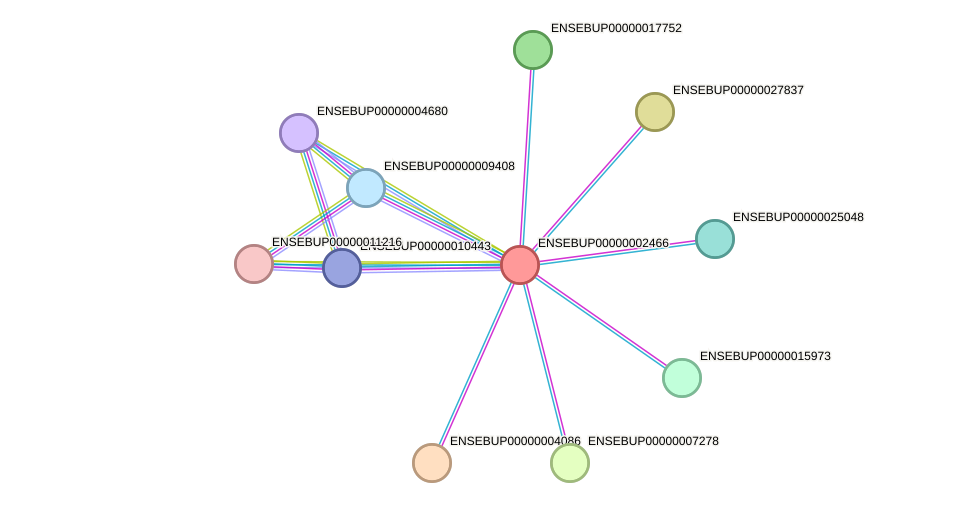 STRING protein interaction network