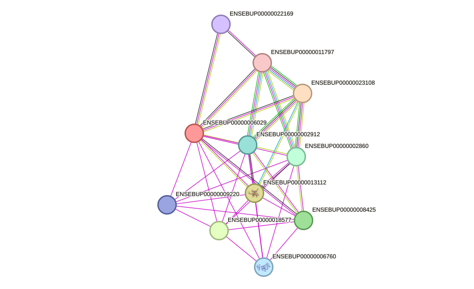 STRING protein interaction network