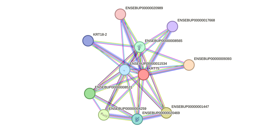 STRING protein interaction network