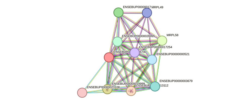 STRING protein interaction network