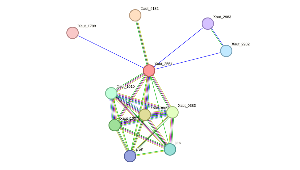 STRING protein interaction network