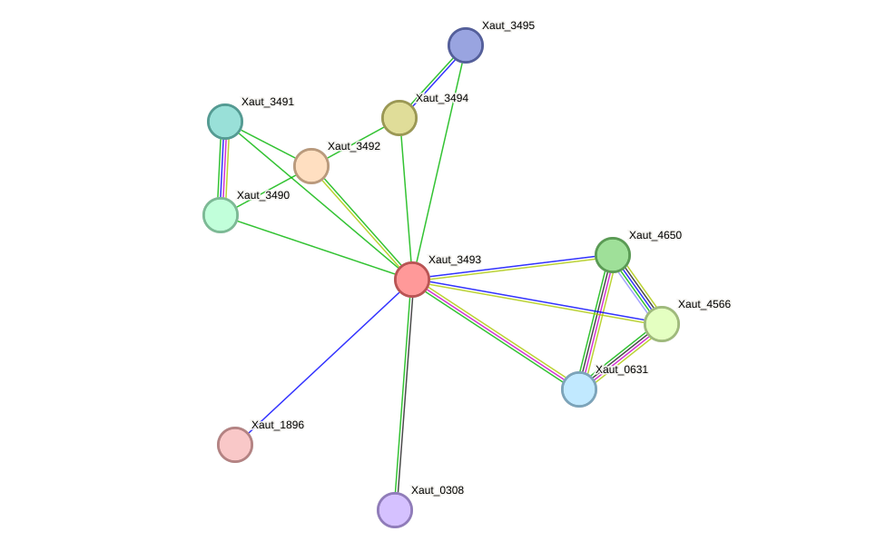 STRING protein interaction network