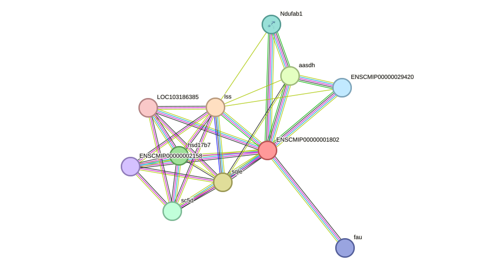 STRING protein interaction network