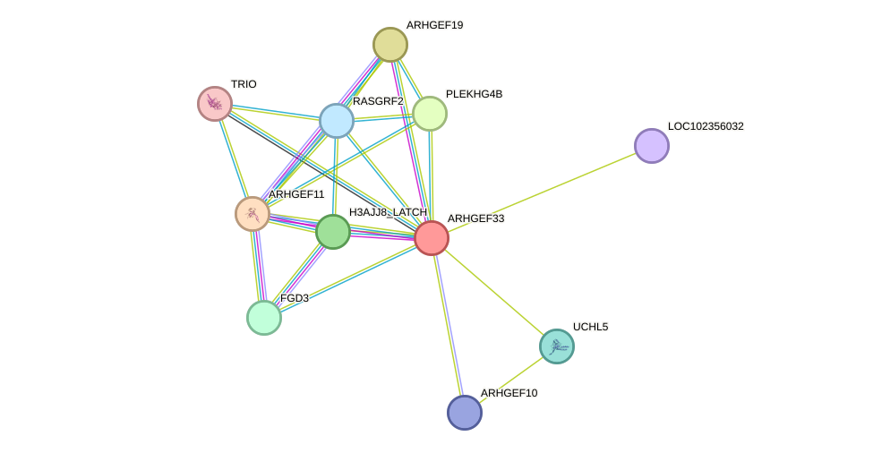STRING protein interaction network