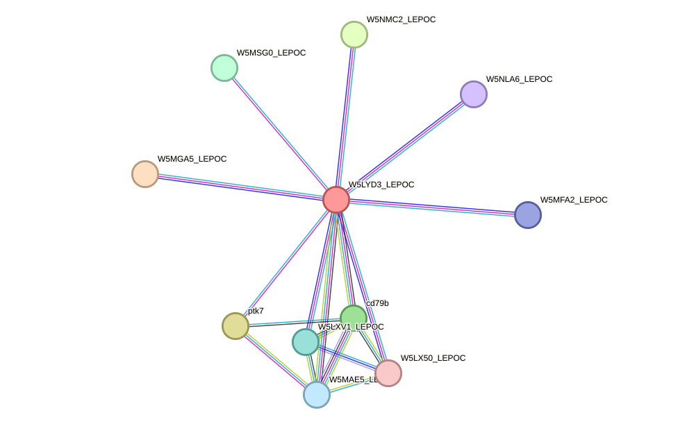 STRING protein interaction network