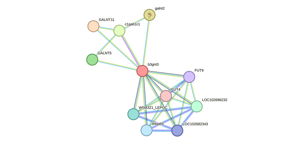 STRING protein interaction network