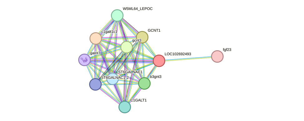 STRING protein interaction network