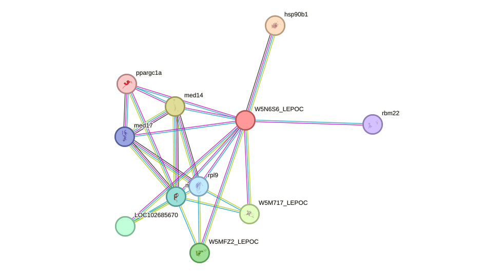 STRING protein interaction network