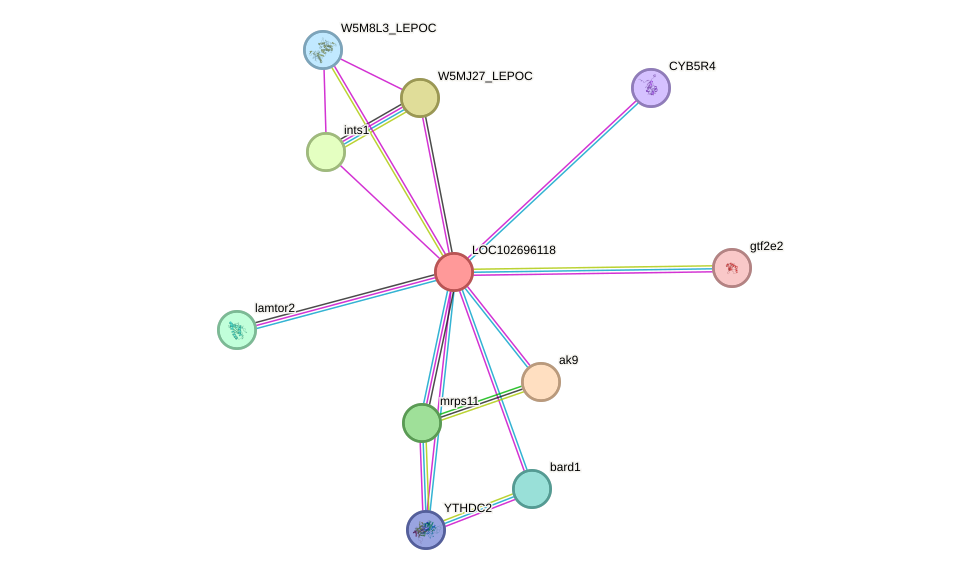 STRING protein interaction network