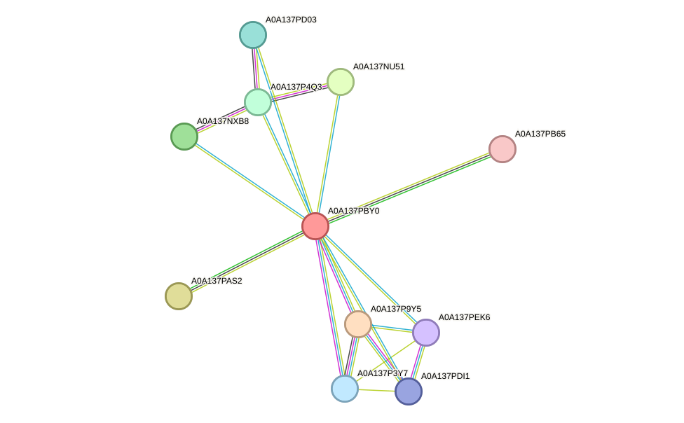 STRING protein interaction network