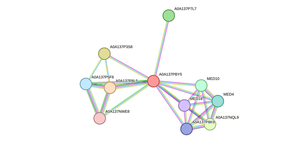 STRING protein interaction network