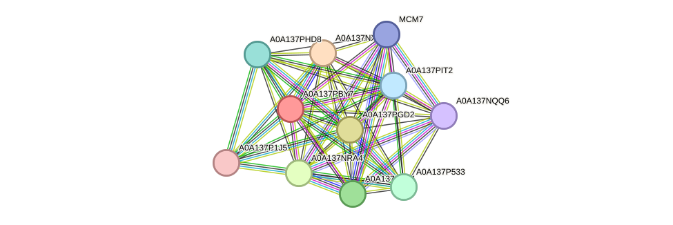 STRING protein interaction network