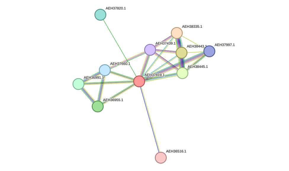 STRING protein interaction network
