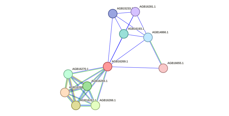 STRING protein interaction network
