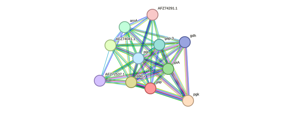STRING protein interaction network