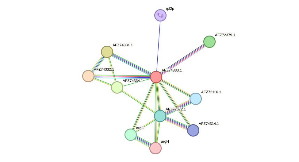 STRING protein interaction network