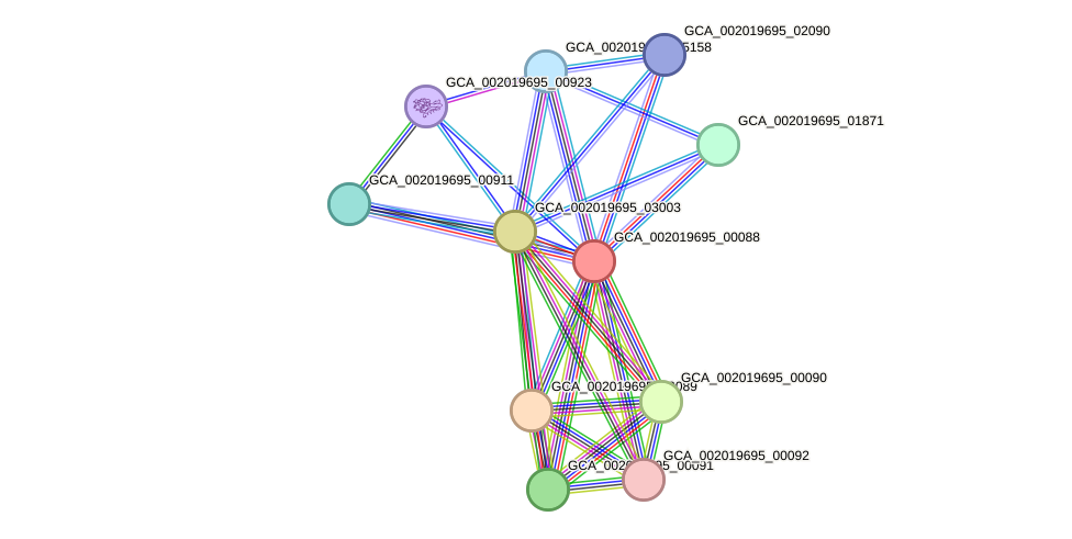 STRING protein interaction network