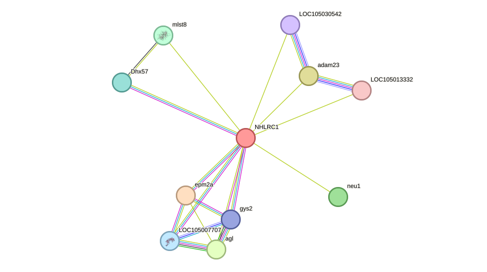 STRING protein interaction network