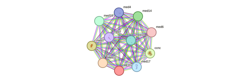 STRING protein interaction network