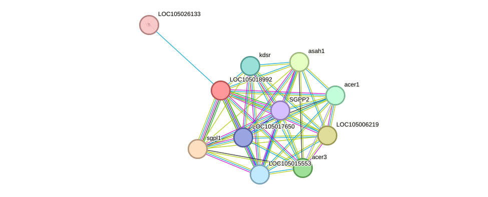 STRING protein interaction network